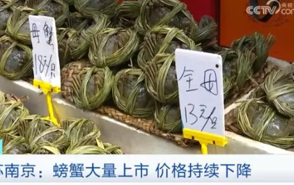 大闸蟹跌破10元一只 有的甚至跌出了“白菜价”