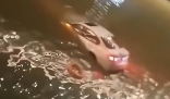 珠海一辆轿车不慎坠河快速沉没 背后隐藏了什么秘密？