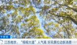 多彩旅游模式拉动新消费 国潮风也带动了南京汉服的租赁