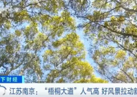 多彩旅游模式拉动新消费 穿汉服游南京已经成为了一种风尚