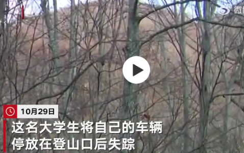 日本一棕熊尸体内发现人体残骸 警方怀疑他在遭到棕熊攻击后死亡
