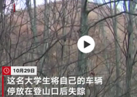 日本一棕熊尸体内发现人体残骸 警方怀疑他在遭到棕熊攻击后死亡