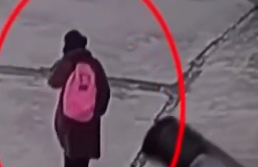 毒贩头子潜逃7年落网 因粉书包暴露 背后隐藏了什么秘密？