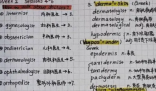 浙大学霸的笔记精美得像教科书 明白自己和学霸的差距在哪里