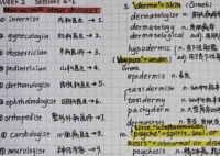 浙大学霸的笔记精美得像教科书 明白自己和学霸的差距在哪里