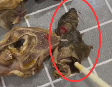 羊肉火锅外卖中疑吃出半截老鼠 这到底是怎么回事？