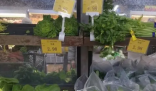 今冬蔬菜为何跌出“白菜价”? 菜贵伤民，菜贱伤农
