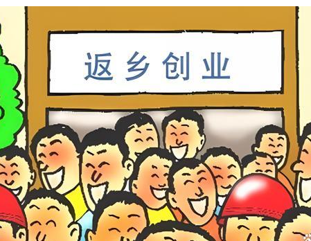 10年间1220万人返乡当了新农人 有吸引力的职业