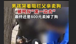 男孩哭着阻拦父亲卖狗被骂滚一边 让我们思考了动物保护和家庭教育的重要性