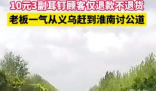 10元3副耳钉被仅退款商家千里讨公道 结下了深深的误会