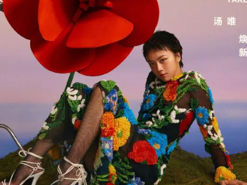 网友辣评汤唯短发:邓超蒋雯丽你好  普通女性千万不要尝试超短发了
