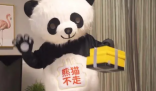 熊猫不走蛋糕突然全国停工这到底是怎么回事？