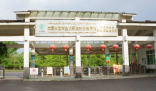 西双版纳热带植物园回应蜉蝣大爆发 背后隐藏了什么秘密？