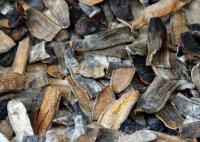 多方回应网传捉蚂蟥做副业大赚 这也太意外了