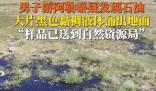 男子疑在阿勒泰发现石油 这也太罕见了
