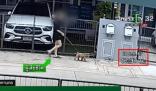 女子在泰国中9刀死亡 男友被拘捕 实在太恐怖了