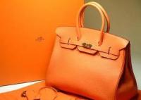 卡塔尔埃米尔的嫂子去巴黎11个包被偷 为什么被偷这么多？