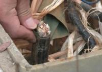 两人出狱后重操旧业 偷盗电缆再被抓 这真是服了