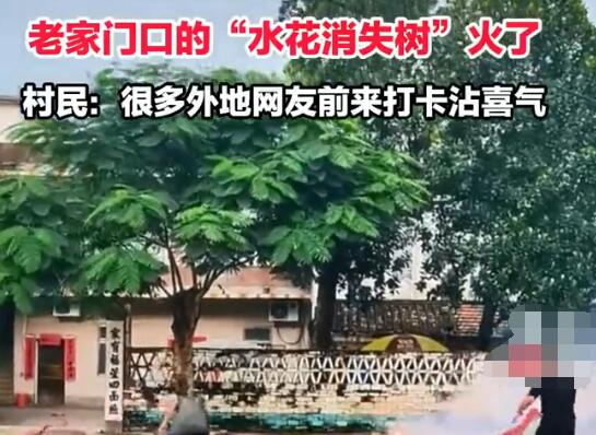 全红婵老家门口的“水花消失树”火了 陆续有外地人过来围观合影留念