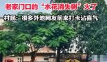 全红婵老家门口的“水花消失树”火了 陆续有外地人过来围观合影留念