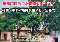 全红婵老家门口的“水花消失树”火了 陆续有外地人过来围观合影留念