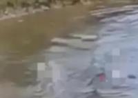 海南一家4姐弟不幸溺亡 最大仅10岁 背后真相实在让人惊愕